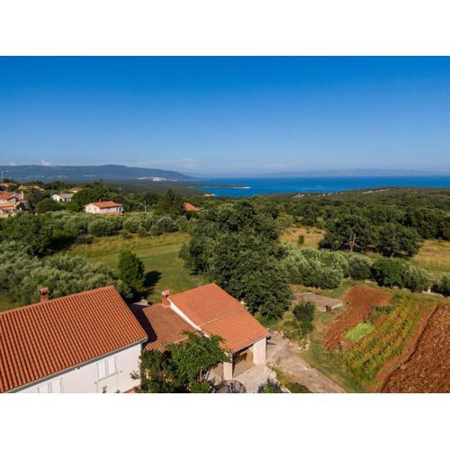 Apartman Viridis