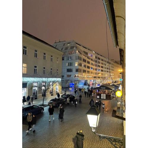 Apartman Vlaška
