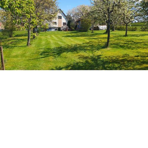 Apartmán Vysoké nad Jizerou