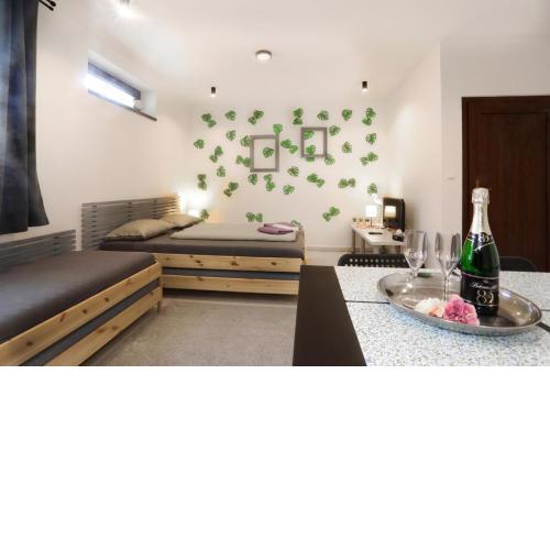 Apartmán Wellness Veselí
