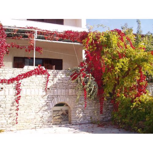 Apartman za 2 osobe, Tip Studio