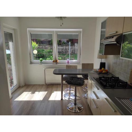Apartman ZAGREB,REBRO,MAKSIMIR,CENTAR Marko