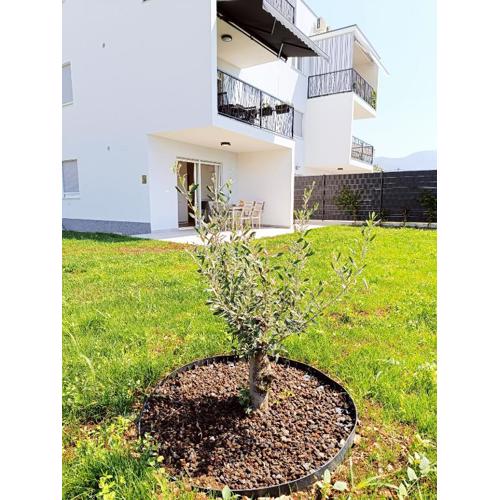 Apartman Zelena Oaza