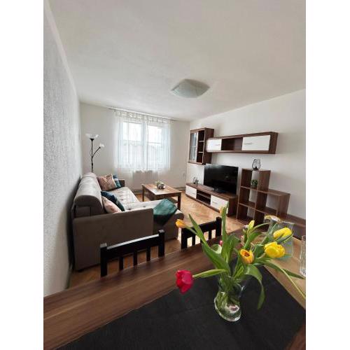Apartmán Žižka