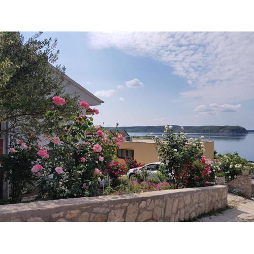 Apartman Zlata