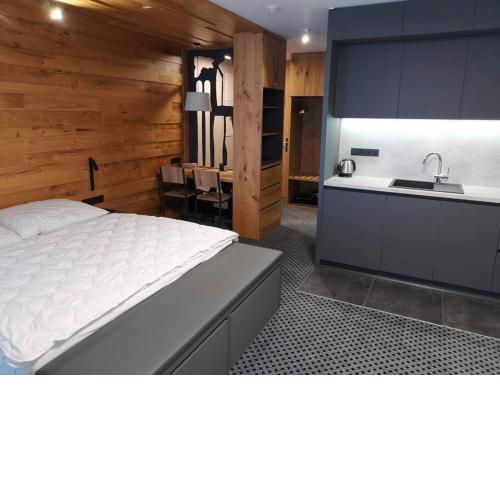 Apartmán_Alpina Špindlerův Mlýn