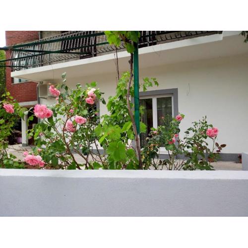 Apartmani Alma