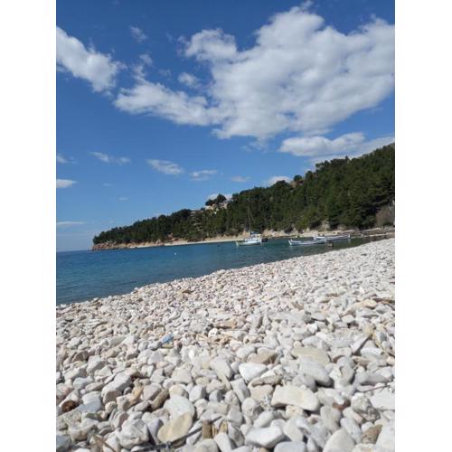 Apartmani Bepo