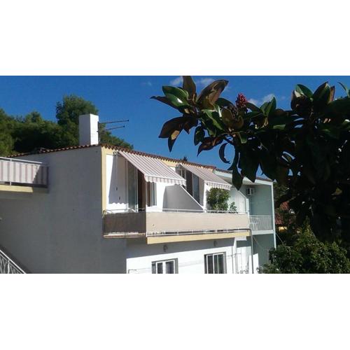 Apartmani Carević