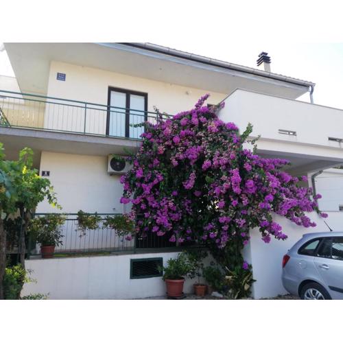 Apartmani Danica