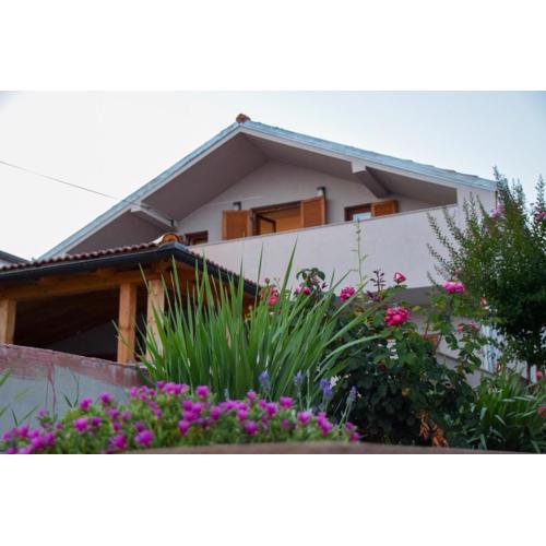 Apartmani Dina 2