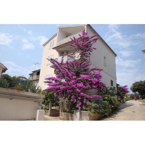 Apartmani Gojko