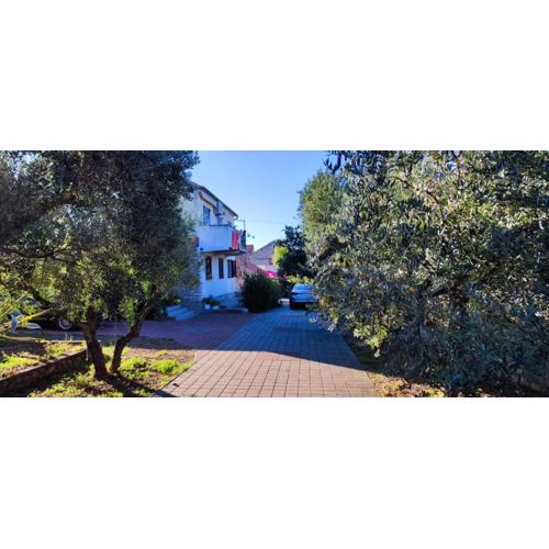 Apartmani JAKI, Biograd na moru