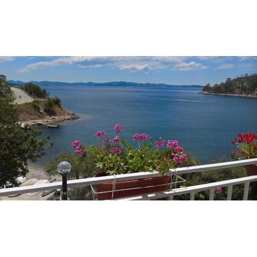 Apartmani Kunjasic