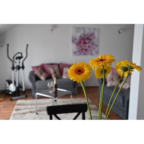 Apartmani Lucija
