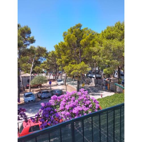 Apartmani Luma del mare