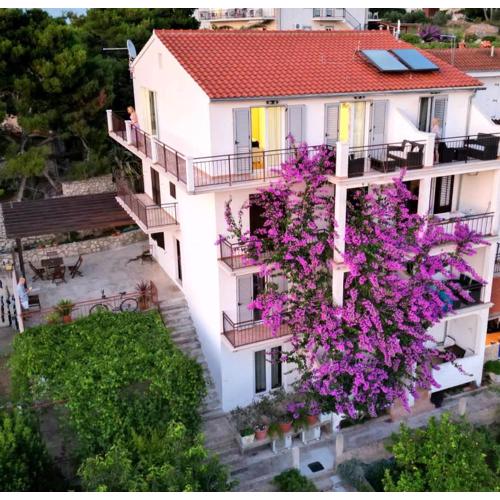 Apartmani Mladina
