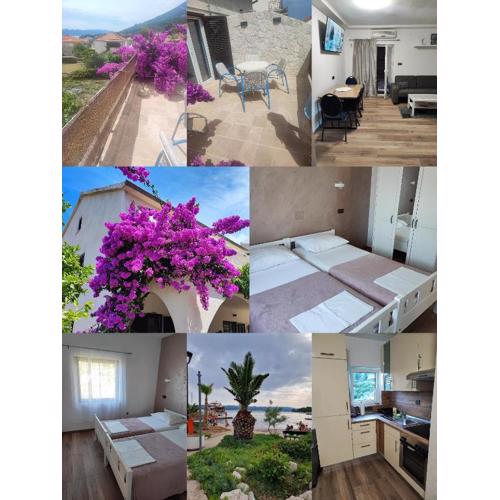 Apartmani Mraz