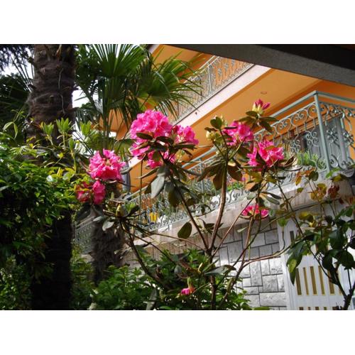 Apartmani Nives
