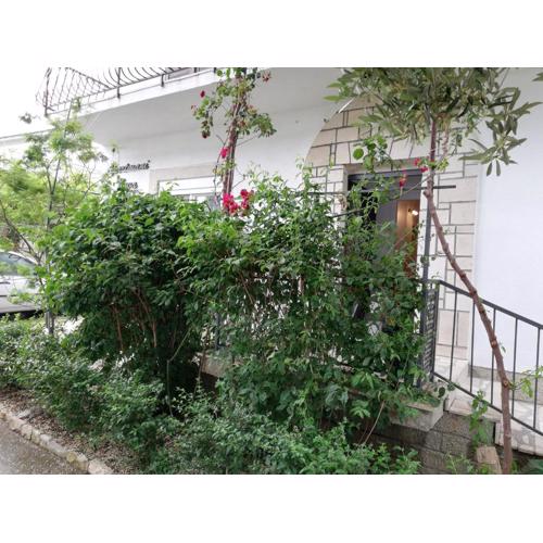 APARTMANI NOVA
