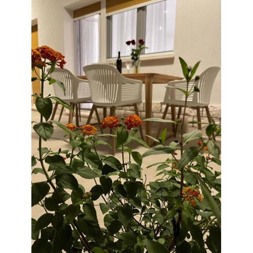 Apartmani Ostro Trogir