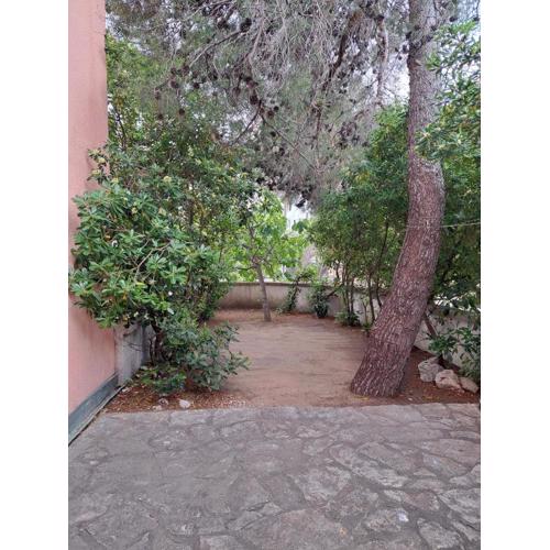 Apartmani Prša