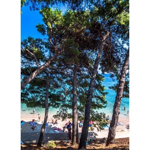 Apartmani Sonja M