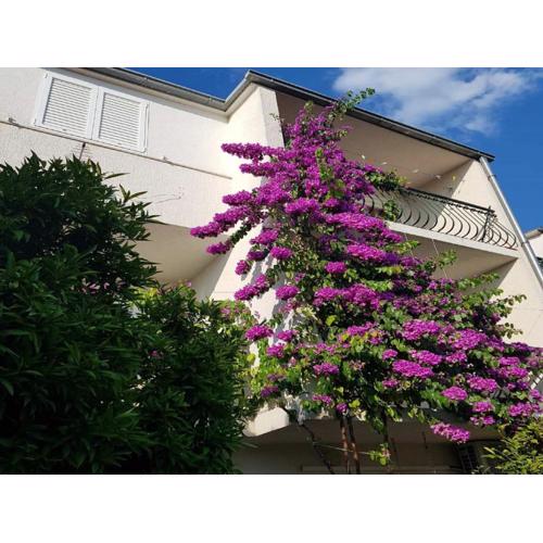 Apartmani Sonja