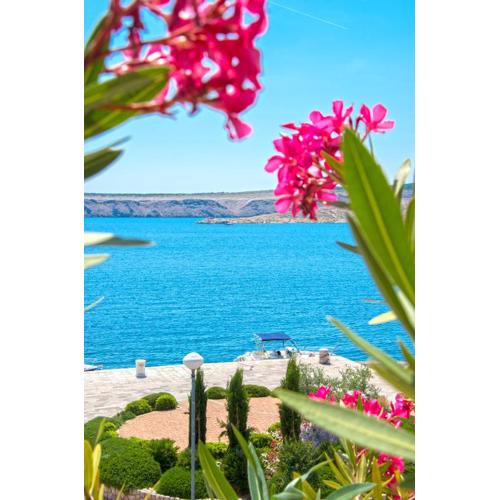 Apartmani Viktorija