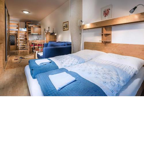 Apartmánový dom Spiežovec - Ap. 4