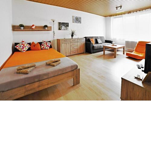 apartmány 2+1 u Klínovce