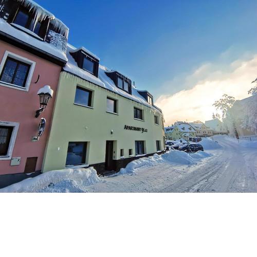 APARTMÁNY 91 Boží Dar