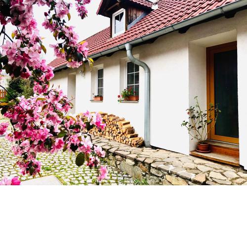 Apartmány Jílovice