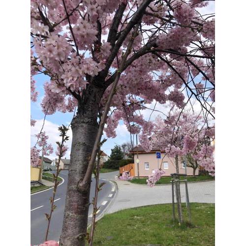 Apartmány na Vršku