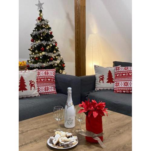 Apartmány Rychtaříkovi