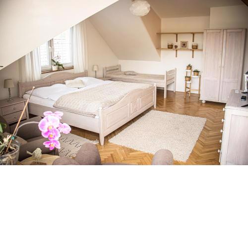 Apartmány u Petry