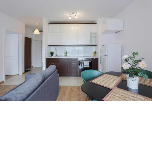 Apartmate- Riverside Jaglana Oldtown apartments with view