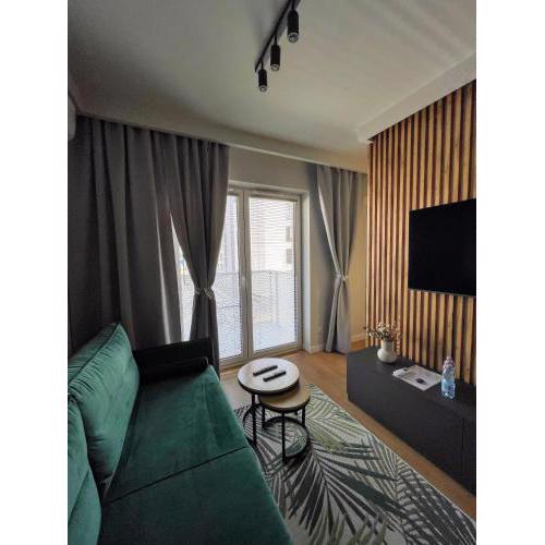 Apartment 41