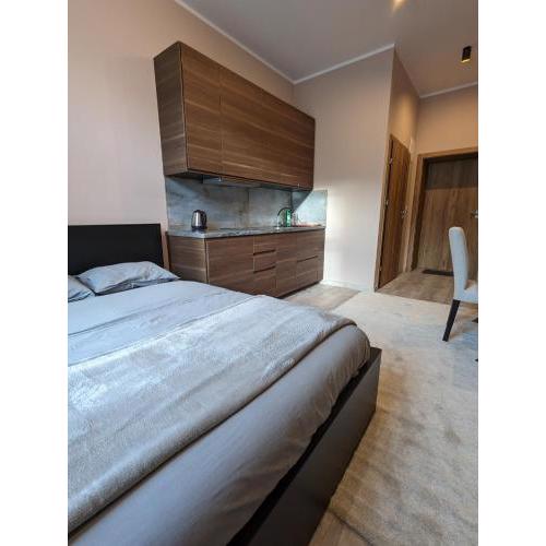Apartment A1 in Downtown of Krakow