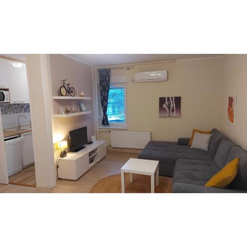 Apartment Alex