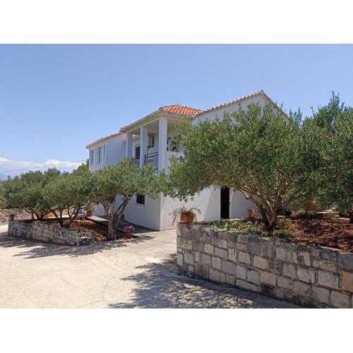 Apartment Amarilis