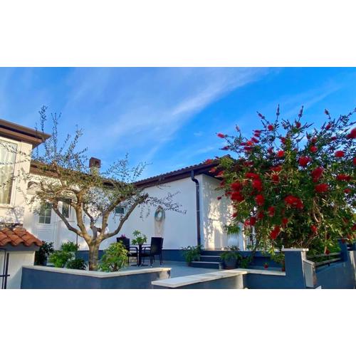 Apartment Ambretta