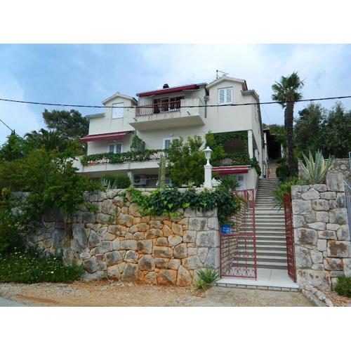Apartment and Room Darinka