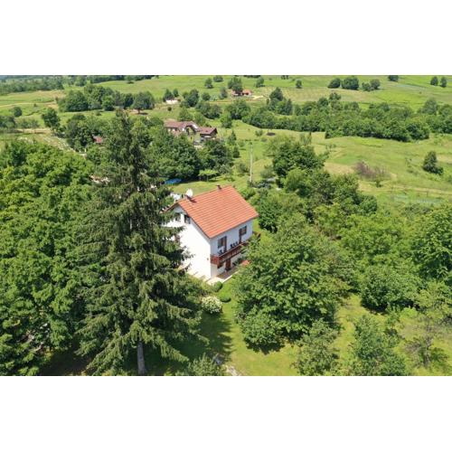 Apartment and Rooms Ivancica