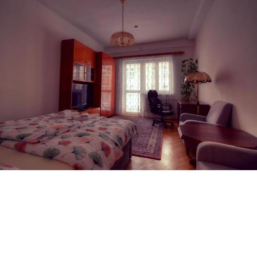 Apartment Anna Vysehrad