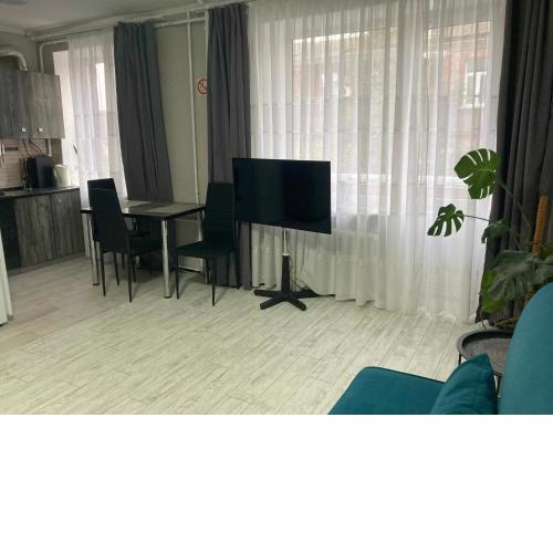 Apartment Artynova 29