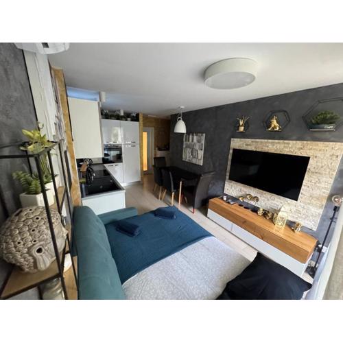 Apartment Astra with Private parking