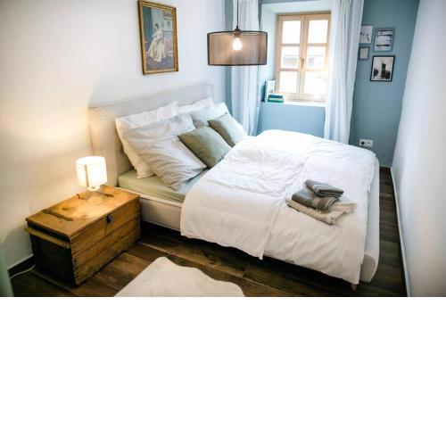 Apartment Aussee- Beletage Salzherrenhof- Küche, WLAN, Netflix