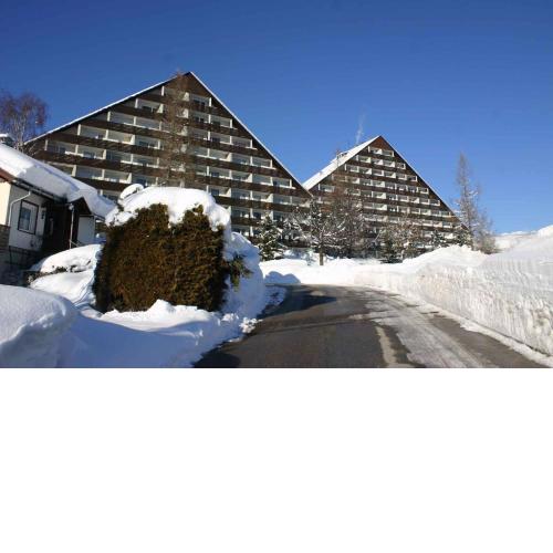 Apartment Bad Mitterndorf/Steiermark 432