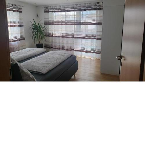 Apartment Baicu Zell am See